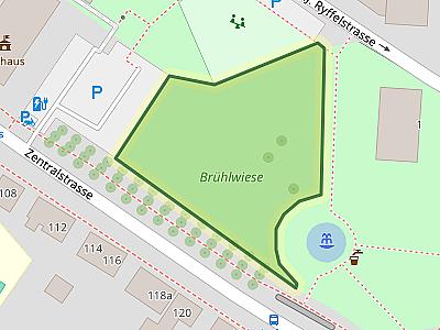 Brühlwiese