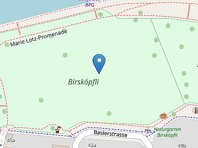 Naturgarten Birsköpfli